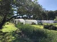 At the heart of a market-garden farm on the Emerald Coast