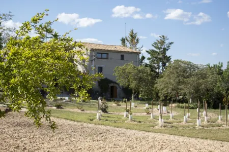 Charming farmhouse, surrounded by vineyards and with a private pool in the middle of nature Отели в г. Кастельет-и-ла-Горналь