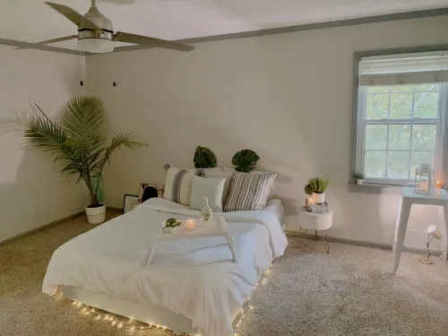 Spacious Treehouse Paradise