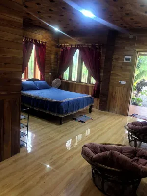 Mountain View House 120sqm 2 separate apartmnts car park spring water fiber WIFI