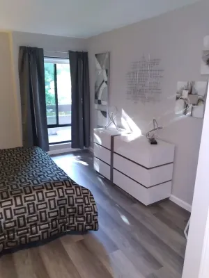 Paradise in the city