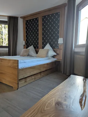 Forest view suite - between trees and dreams