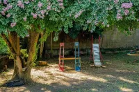 Sítio Mogi das Cruzes