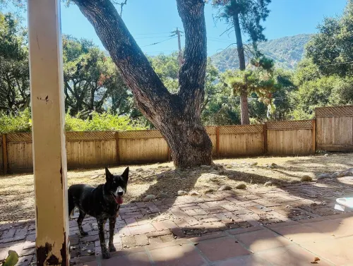 Sunny Carmel Valley Farmhouse w/ river access & walking distance to the village! Hotels in Carmel Valley