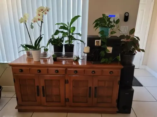 Vacation House for The Whole Family! Hotels in Lauderhill