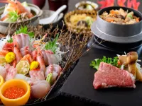 Taichou No Mori Hotels in Sabae