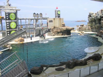 ホテル周辺 城崎温泉 お宿 白山 花まんだらの写真