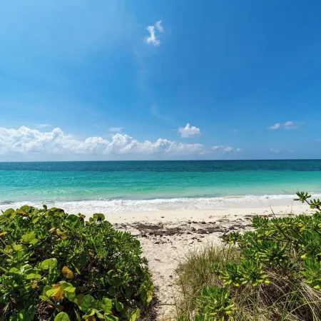 Lovely 1 bedroom, steps from the beach, car available