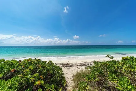 Lovely 1 bedroom, steps from the beach, car available