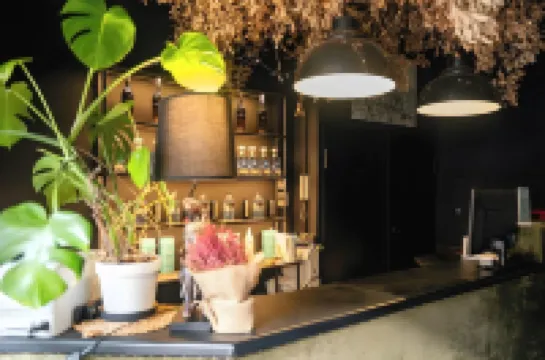 Hotel Ramblas Internacional