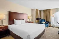 Quality Suites Irving-Las Colinas