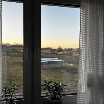 Vacation apartment Eifel