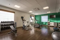 Holiday Inn Express & Suites READING AIRPORT by IHG - Gym