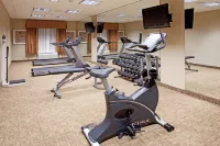 Holiday Inn Express & Suites BUFFALO by IHG - Gym