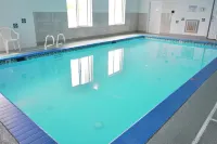 Ocean Paradise Hotel & Resort - Beach