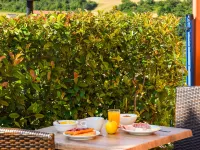 ibis Budget Millau Viaduc - petit déjeuner