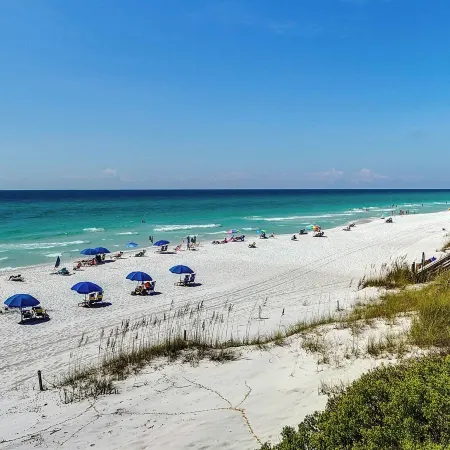 Palms at Seagrove