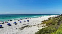 Palms at Seagrove