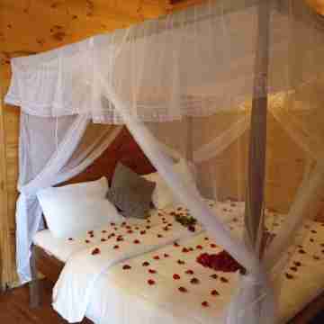 Orellia cabana Rooms