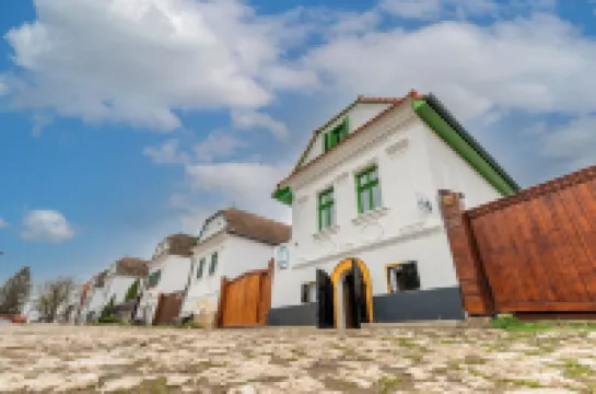 펜시우네아 카사 바이스  호텔