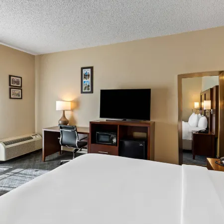Comfort Inn Roswell-Dunwoody