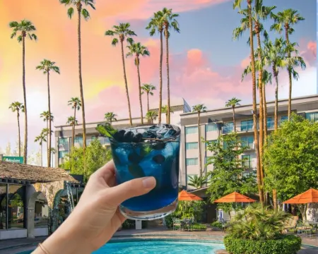 Hotel Lucerna Mexicali Hotels in Mexicali