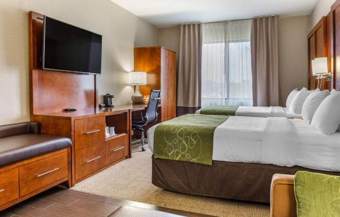 Comfort Suites Dover University Area