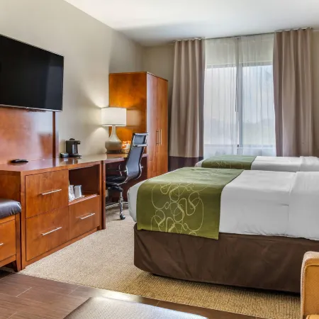 Comfort Suites Dover University Area