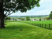 Beningborough Hotels in Middleham