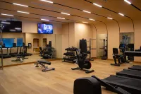 蒙特雷山谷諾富特酒店 - 健身室/gym room