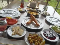 Pınar kır Evi Arhavi otelleri