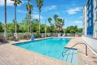 Hilton Garden Inn Jacksonville-Airport - Pools