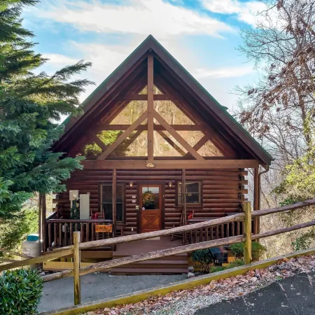 Mtn View Cabin w Hot Tub-game Room Pet Friendly