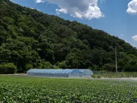 Jecheon Kakao Pension Hotels near Baeglyeonsa