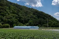 Jecheon Kakao Pension - เพนชั่น