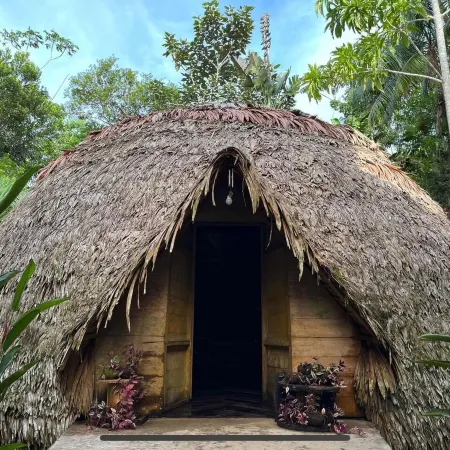 PALMAYACU SAS