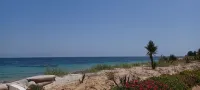 Beach Front Luxury Living Apartment - Ocean View