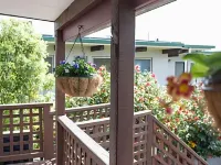 Strathern Motor Lodge Hotels near Papanui Road