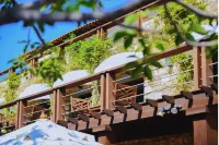 Hotel Morabeza - Cho phép mang theo thú cưng