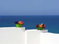 Hotel Vittoria - Ocean View