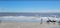 Saltwater Solace, For 8 -  Ferienhäuser