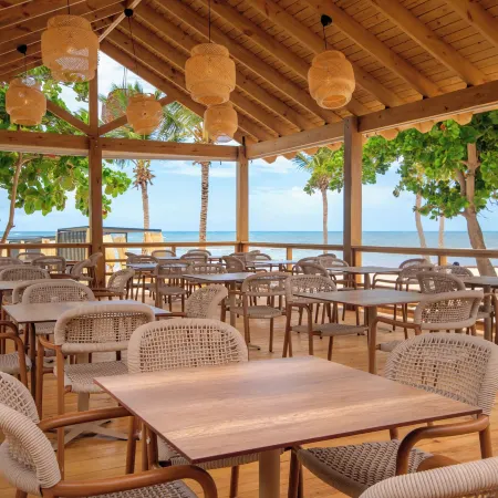 Nivia Punta Cana Hotel & Residences