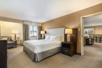 Hotel Dax - بار