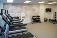 巴爾的摩白沼澤中河SpringHill Suites飯店 - 健身房