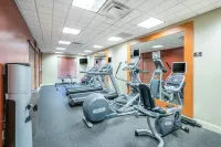 Hilton Garden Inn Richmond Airport - Gym