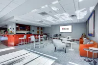 路易斯威爾東北希爾頓花園酒店 - 酒吧