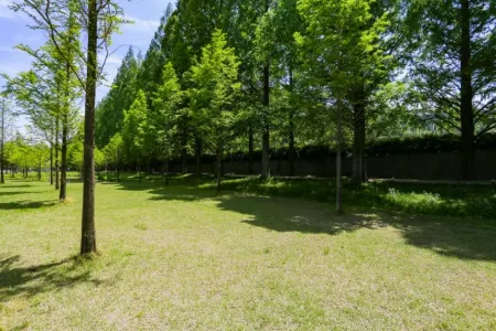 Damyang Lara 345 Pension Отели рядом с достопримечательностью «Meta Provence»