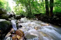 Sancheong Dolkkotdam Pension Hotels in Sancheong-gun