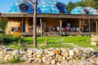 Cheorwon Cosmos Pension Hotels in Cheorwon-gun