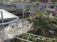Kapoor Villa